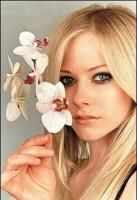 :zzz: avril lavigne
